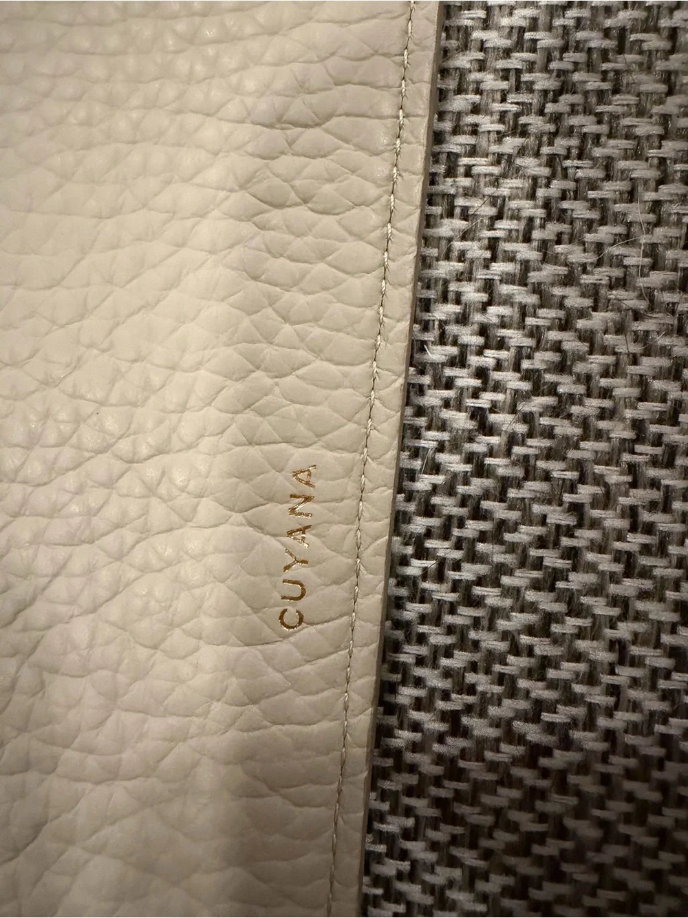 Cuyana pristine 13